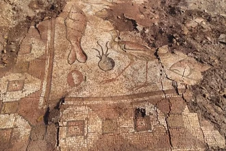 В Турции найдена уникальная римская мозаика с осьминогами и угрями