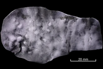 Проклятие XV века: три демона на свинцовой табличке из средневекового туалета