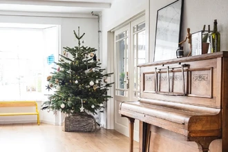 Как сохранить живую елку свежей надолго: 5 обязательных шагов после покупки