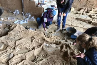 В Испании нашли древнюю яму с костями 52 животных: тайна массового жертвоприношения