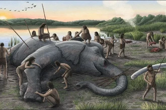 Неандертальцы охотились на слонов крупнее мамонтов