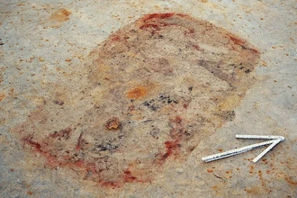 Загадка Тайниаро: крупнейшее древнее кладбище у Полярного круга