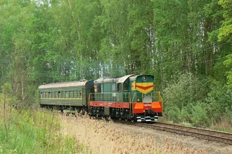 Почему поезд зовут «кукушкой»? История необычных российских составов