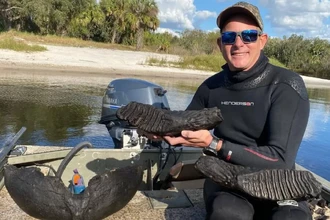 Челюсть мамонта возрастом 10 000 лет найдена в реке Флориды