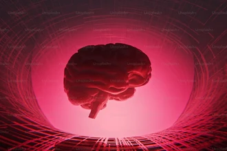 Как мозг управляет памятью: ученые обнаружили единую сеть для воспоминаний и фактов