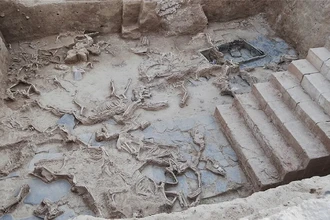 Тайна Касас дель Туруньюэло: зачем древние иберы массово приносили в жертву лошадей