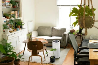 Сухой воздух в квартире: как создать здоровый микроклимат зимой