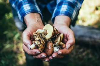 Черные пятна от грибов на руках: 5 проверенных способов быстро отмыть