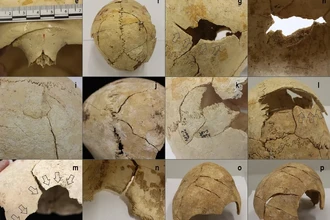 Раскопки в Испании: первая большая война в Европе случилась 5000 лет назад