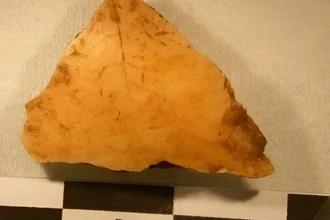 Генетические корни европейцев: древнейшая ДНК возрастом 36 000 лет найдена в Крыму