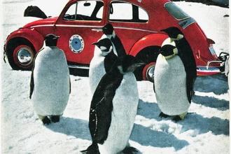 Колеса против льда: как автомобили покоряют Антарктиду