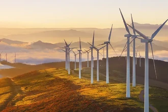 Переработка лопастей ветряков: как из них делают пищевой консервант