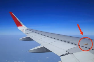 Зачем на крыле самолета желтое кольцо и как оно спасает жизни при посадке на воду