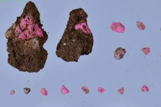 Археологи нашли в Турции древнеримский магазин косметики и украшений