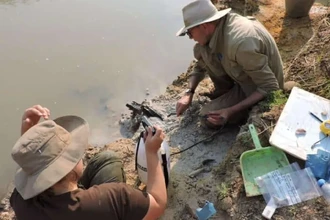 В Замбии нашли древнейшую деревянную конструкцию возрастом почти 500 тысяч лет