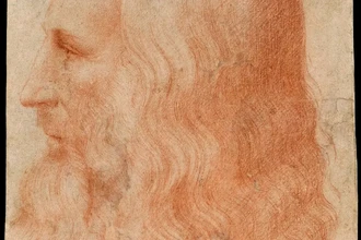 Правило деревьев Леонардо да Винчи: почему гений ошибался внутри ствола