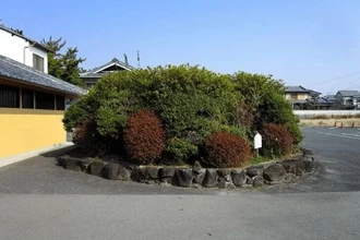 Древняя гробница VI века найдена под кустом на японской парковке